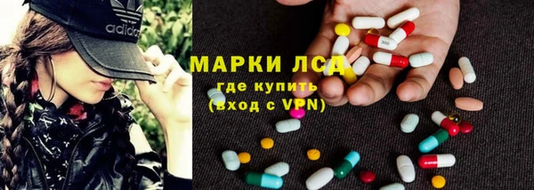 трава Аркадак