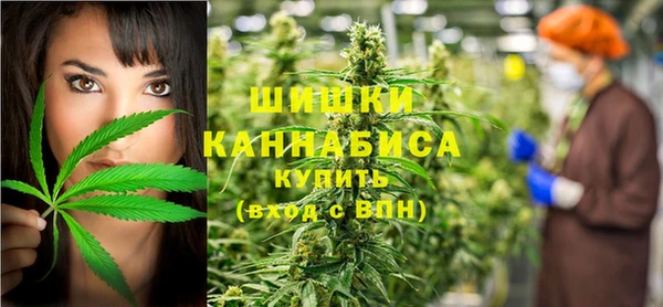 трава Аркадак