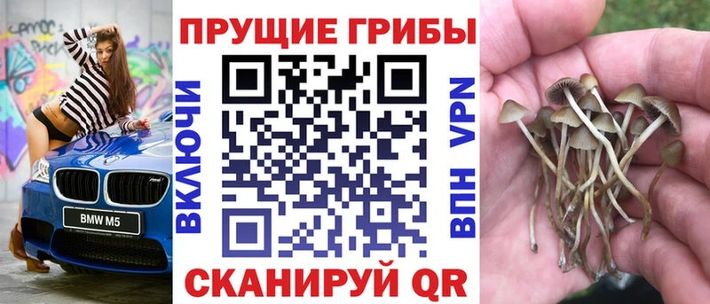как найти закладки  маркетплейс телеграм  MEGA вход  Галлюциногенные грибы Cubensis  Майкоп 